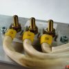 Jumbo Silniki elektryczne i części do silników - Typ: Elektro-Antriebsmotor 260143 Baumann Terra Irion Lancer