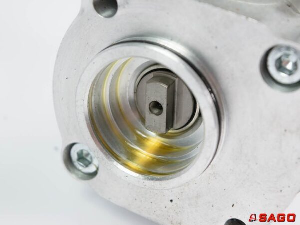 Baumann Hydraulika - Typ: Innenzahnradpumpe kpl. 31801