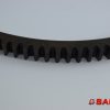 Baumann  - Typ: 200006007 Zahnkranz