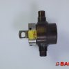 Baumann Hydraulika - Typ: 54225 Schwenkzylinder