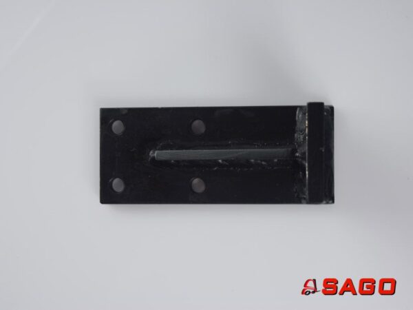 Baumann Części zamienne - Typ: 200009963 Motorhalter