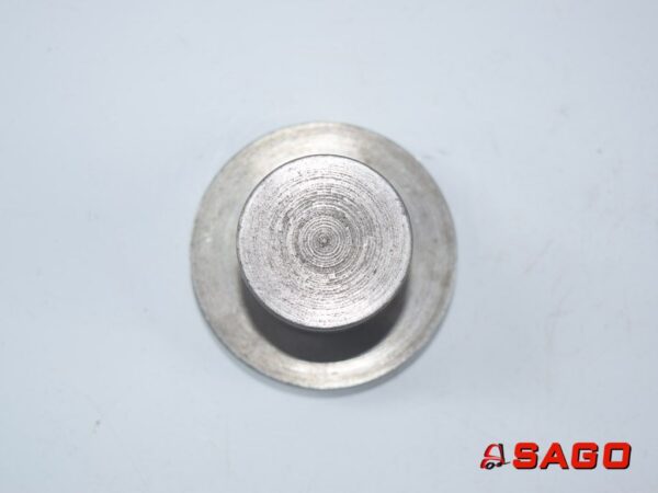 Baumann Części zamienne - Typ: 42563 Rollenbolzen