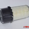 Baumann Silniki