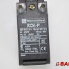 Baumann Elektryczne sterowanie i komponenty - Typ: 52397 Mikroschalter Telemecanique XCK-P IEC 947.5.1 EN 60 947.5.1  Ui=500V Uimp:6kV AC15 240V 3A