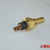 Baumann Elektryczne sterowanie i komponenty - Typ: 107019 Wassertemperaturgeber 120C M-16 24V
