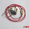 Baumann Elektryka - Typ: 65906 Anzeiger