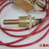 Baumann Elektryka - Typ: 65906 Anzeiger