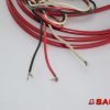 Baumann Elektryka - Typ: 65906 Anzeiger