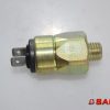 BAUMANN 200004866