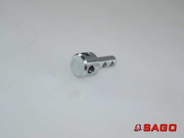 Baumann Części zamienne - Typ: 52050 Bolzen D1-5 D2-10 L-20