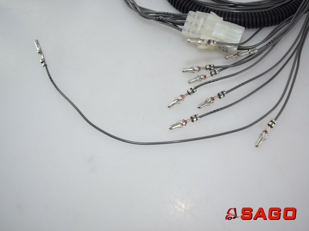 Baumann Elektryczne sterowanie i komponenty - Typ: 200012374 Kabelstrang A21543.0100 A215430100