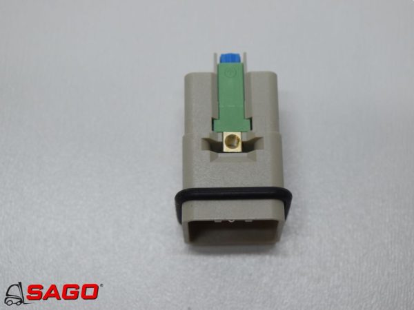 600v