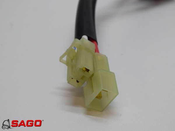 CJ21F29-8081