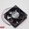 DC 24V