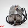 G1E01800