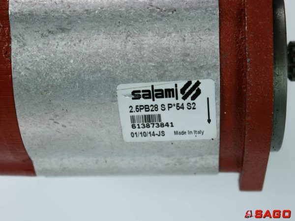5PB28 S P*54 S2 613873841 BAUMANN 115242