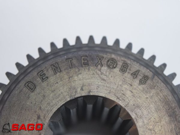 32572 DENTEX