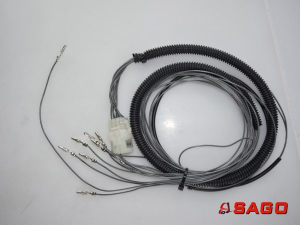 Baumann Elektryczne sterowanie i komponenty - Typ: 200012374 Kabelstrang A21543.0100 A215430100